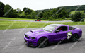 HOD_Purple