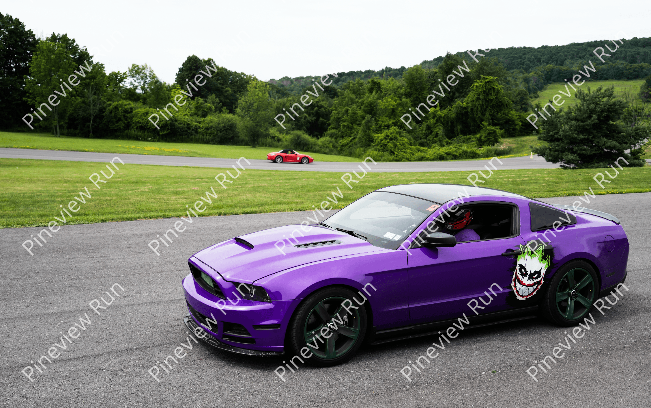 HOD_Purple